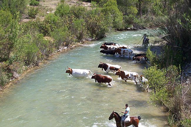 بيت شباب Atalaya Bogarra المظهر الخارجي الصورة