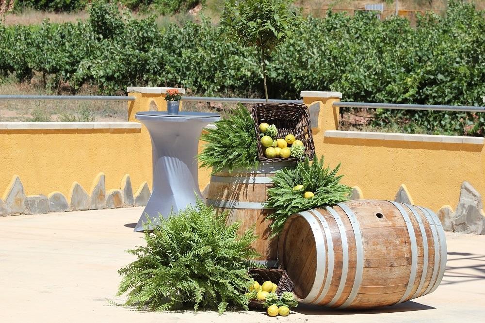 بيت شباب Atalaya Bogarra المظهر الخارجي الصورة